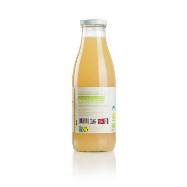 Apple and Kiwi Juice Apple and Kiwi Juice