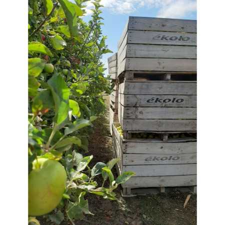 Apple and kiwi organic compote 2